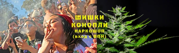 сатива Абинск